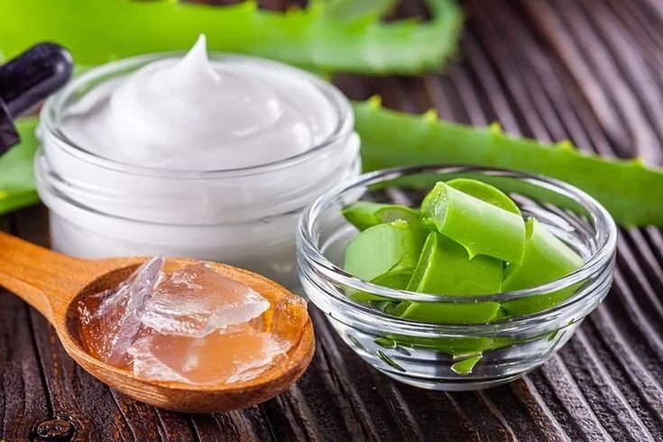 Beauty Tips – Well Health Organic.com