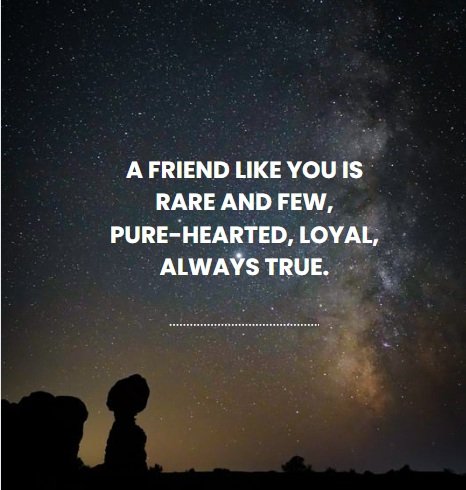 Best Friend Shayari in English